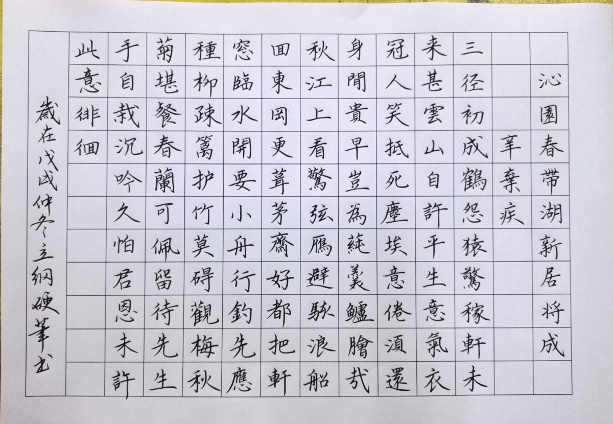 辛弃疾《沁园春·带湖新居将成》手写钢笔字练习笔友钢笔书法习作欣赏